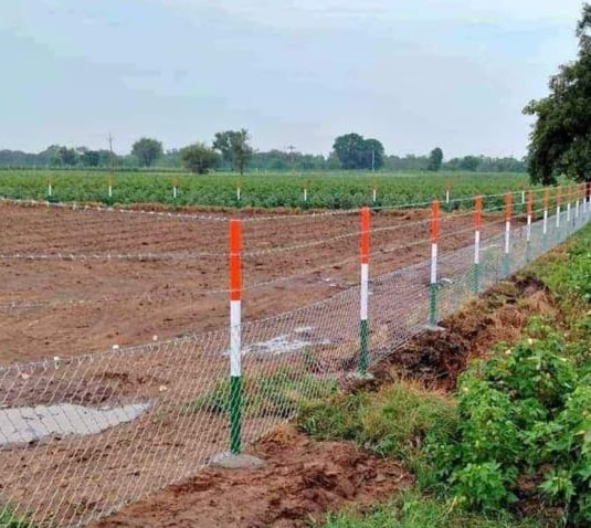 Fence line bordering agricultural land