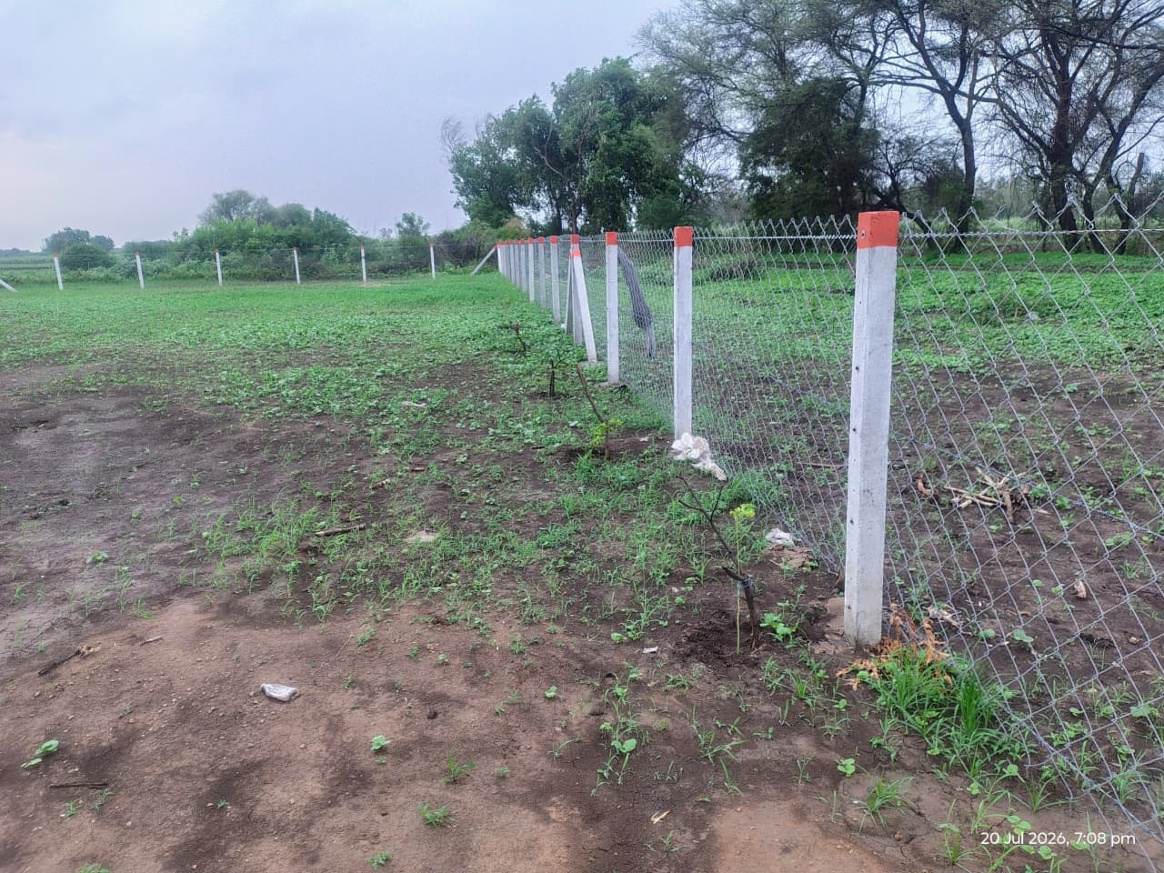 5ft & 6ft Full Chain Link & Barbed Wire Fence